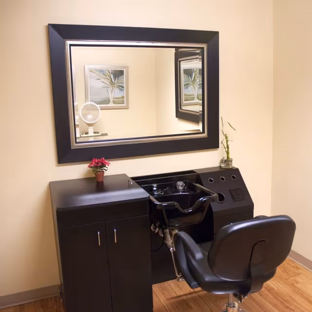 A small hair salon station with a black salon chair, a black sink for washing hair, a cabinet, and a large rectangular mirror on the wall. There is a small potted plant on the cabinet and a bamboo plant on the sink counter. A framed picture of a plant is reflected in the mirror.