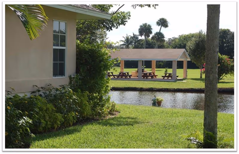 Outdoor view of a senior living community showing a grassy area with a small pond, a covered picnic pavilion with benches, palm trees, and part of a beige building with a window and surrounding greenery.