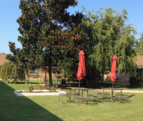 Outdoor seating area with metal tables and chairs on a grassy lawn, two closed red umbrellas, surrounded by trees and shrubs with a building in the background under a clear blue sky.