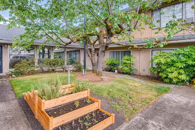 Outdoor courtyard area of Kamlu Retirement Inn-Vancouver featuring a raised wooden garden bed with plants, a large tree in the center, surrounding grass, shrubs, and the exterior walls and windows of the building.