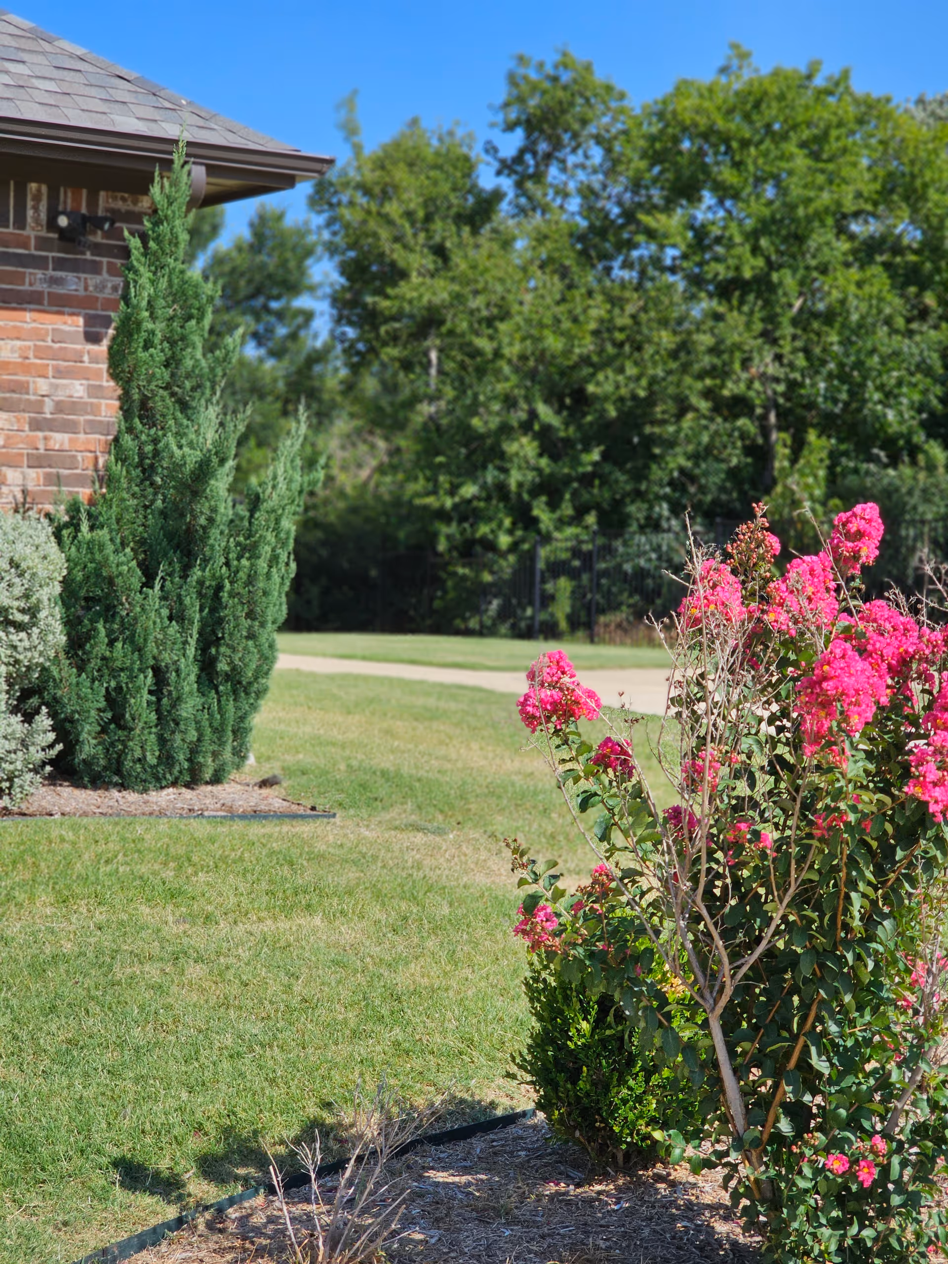 Corner of a brick building with neatly trimmed shrubs, a green lawn and bright pink flowering bushes under a clear blue sky.