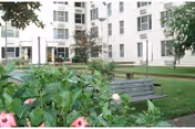 Outdoor garden area with green plants and pink flowers in the foreground, wooden benches, and a multi-story white building in the background at Hugh Ash Manor.
