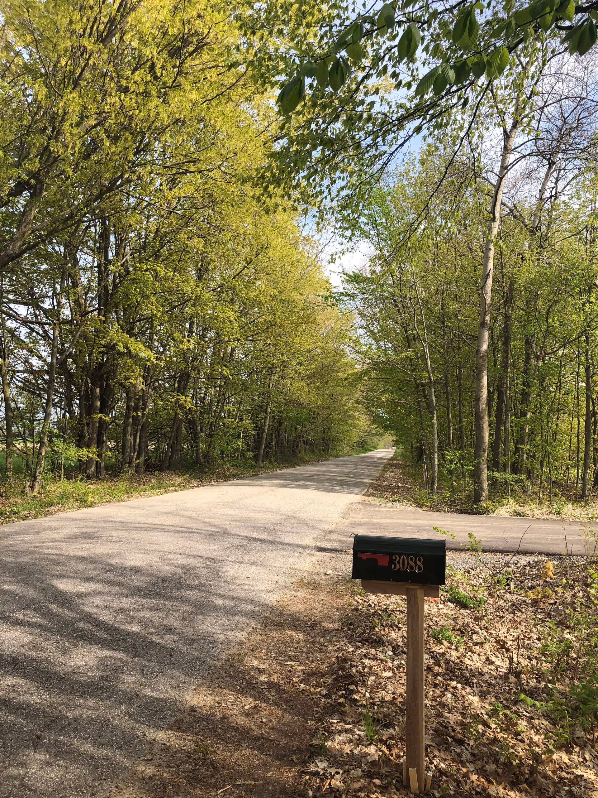 A quiet rural road lined with green leafy trees on both sides under a partly cloudy sky. A black mailbox with the number 3088 is mounted on a wooden post near the edge of the road.