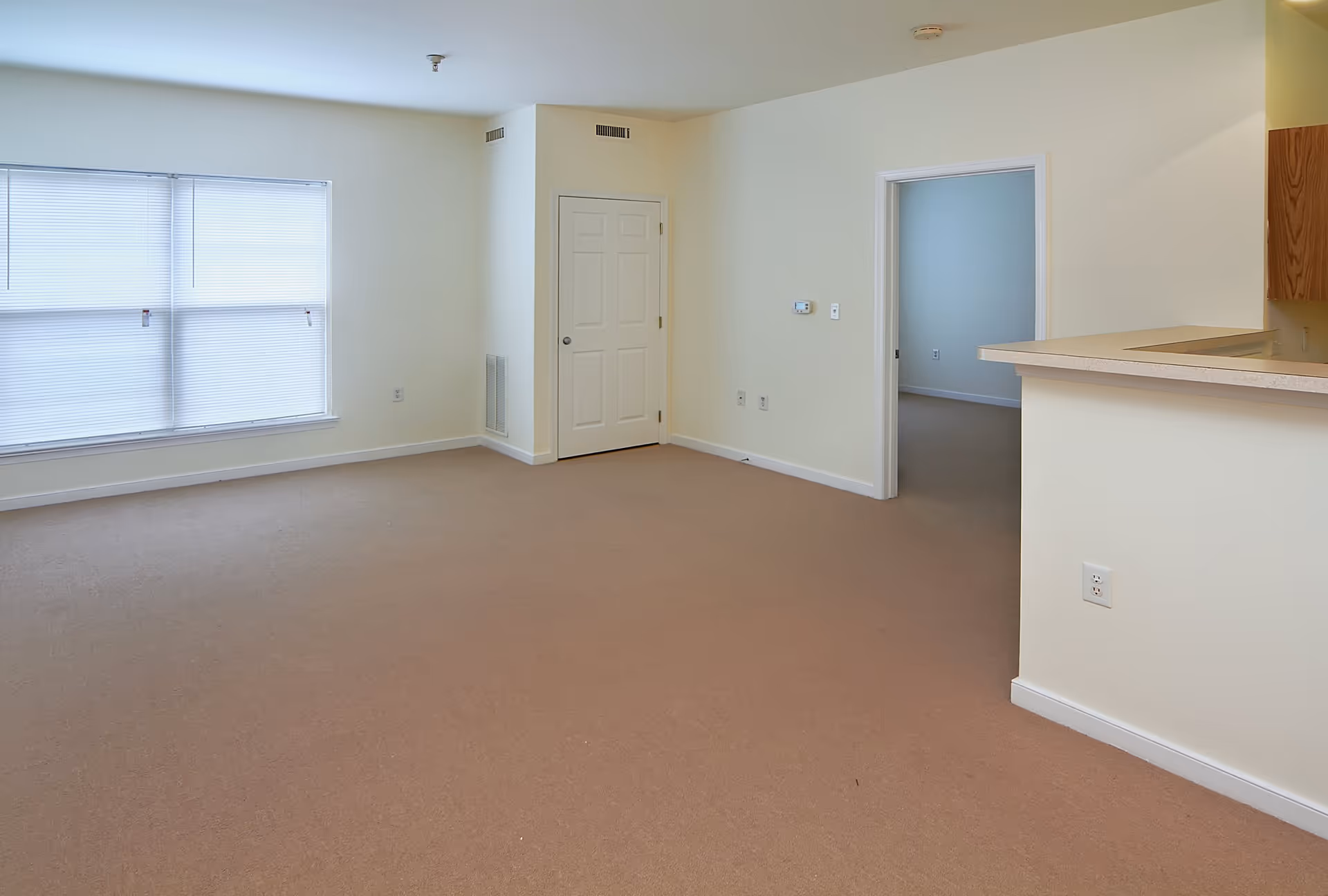 Empty room with beige carpet and cream-colored walls, featuring a large window with closed blinds, a white door, and a partial view of a kitchen counter with wooden cabinets.