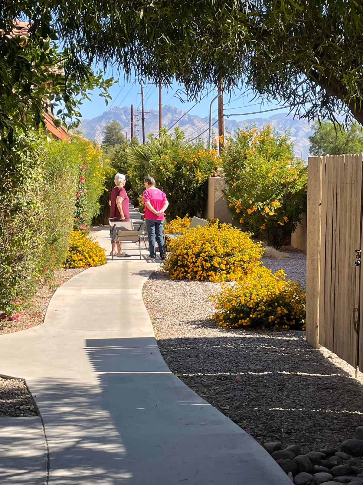 Two elderly women standing and talking on a curved concrete pathway surrounded by lush green bushes and yellow flowering plants, with mountains visible in the background under a clear blue sky.