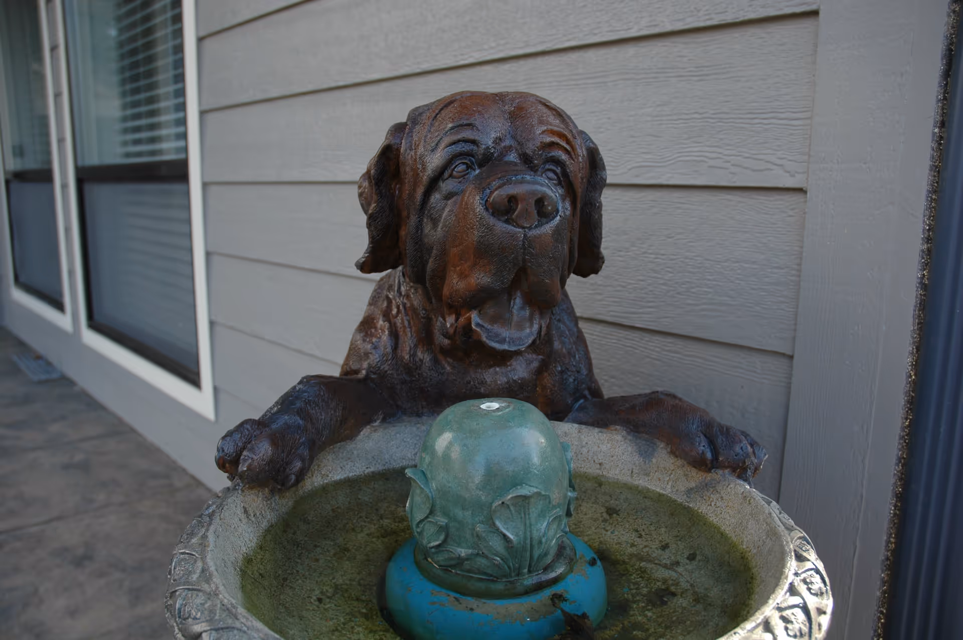 A decorative outdoor water fountain featuring a sculpture of a dog with its front paws resting on the edge of the fountain basin. The fountain basin has a greenish-blue ornamental centerpiece. The background shows the exterior wall of a building with windows and siding.