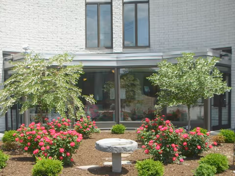 Outdoor garden area with blooming pink flowers, small green bushes, and two small trees in front of a building with large windows and white brick walls. A round stone birdbath or table is centered in the garden bed.