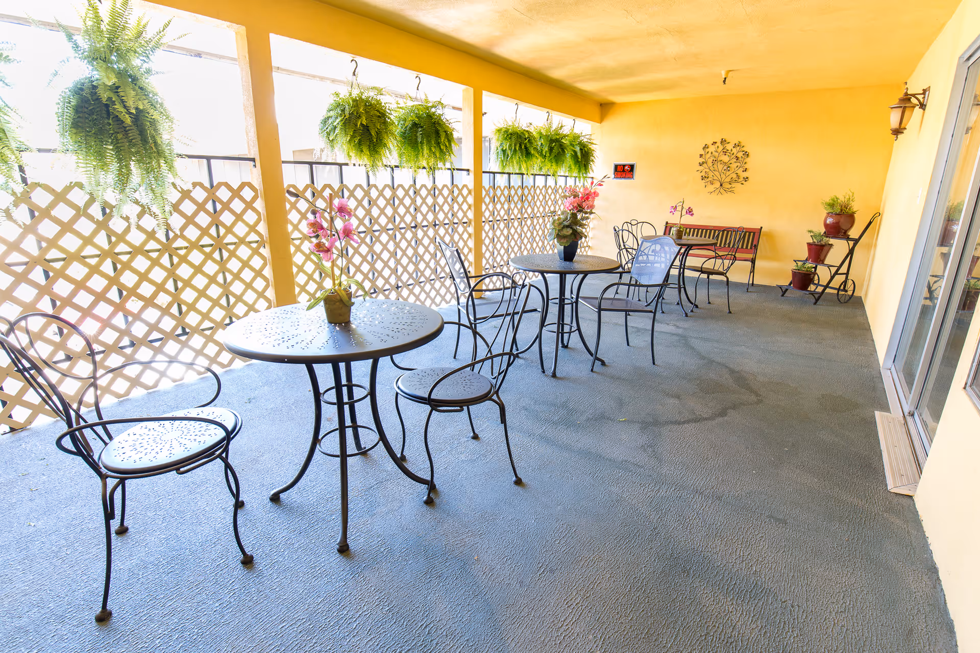 Covered outdoor patio area with several black metal tables and chairs. Each table has a small potted plant with flowers. Hanging green ferns are suspended from the ceiling along the lattice fence on one side. There is a bench and a small plant stand with potted plants against a yellow wall on the far side.