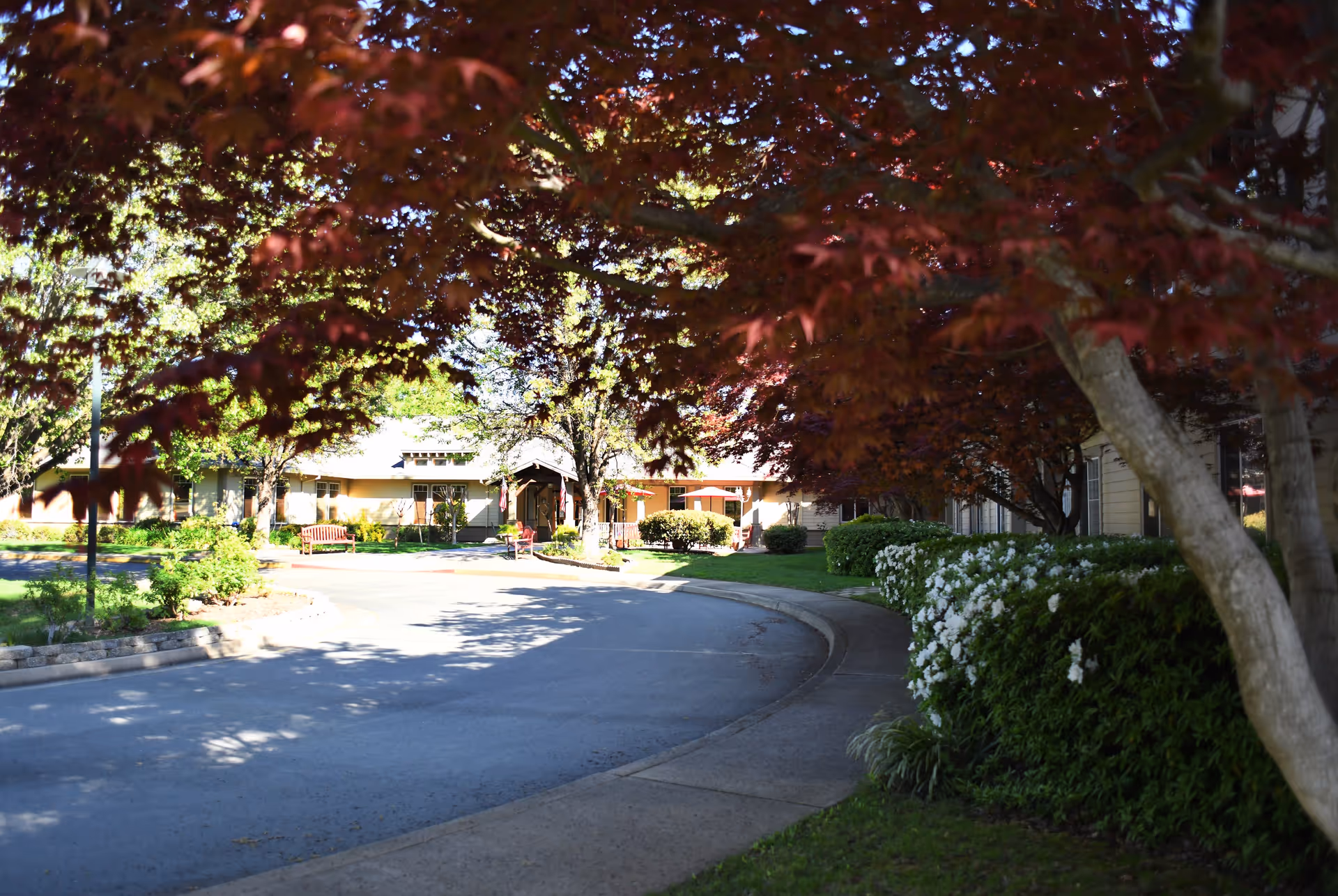 Curved driveway leading to the entrance of a single-story building surrounded by trees with red leaves and green shrubs with white flowers, under bright daylight.
