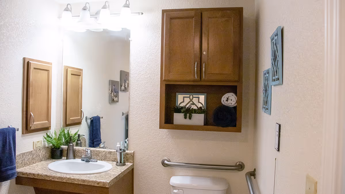 A bathroom with a granite countertop sink, a large mirror with four lights above it, a wooden cabinet mounted on the wall above the toilet, decorative plants and towels, and grab bars installed near the toilet.