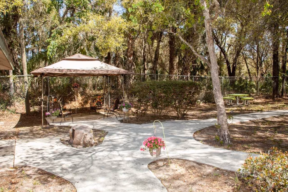 Outdoor courtyard with a canopy-covered seating area, paved walkways, trees, and a picnic table.