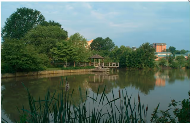 A tranquil pond with reeds in the foreground, a wooden gazebo and dock on the far shore, and trees and buildings reflected in the water.
