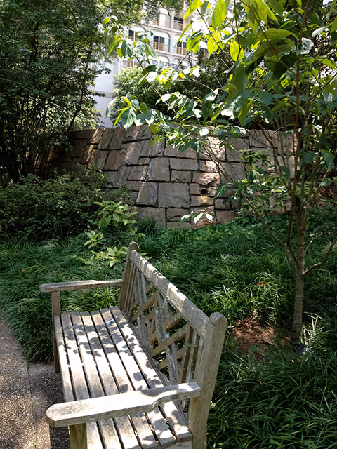 A wooden bench in a garden area surrounded by green plants and trees, with a stone wall and part of a building visible in the background.