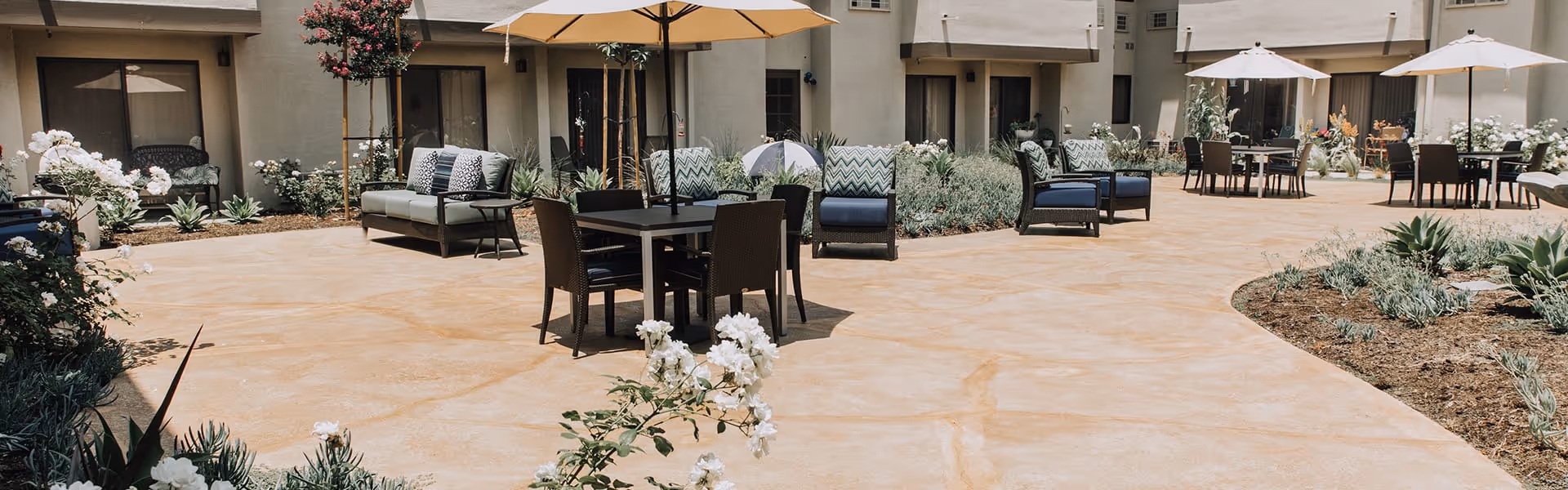 Sunlit outdoor courtyard with tables, chairs, umbrellas, lounge seating and planted landscaping in front of building entrances.