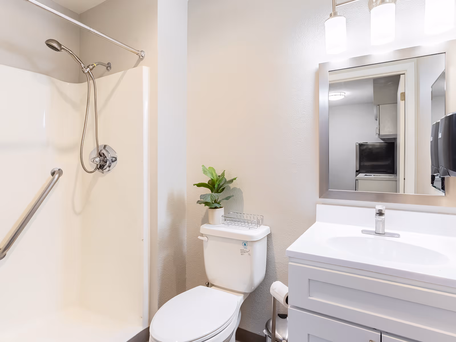 Bright accessible bathroom with a shower and grab bar, toilet topped with a small potted plant, a sink vanity, and a mirror.