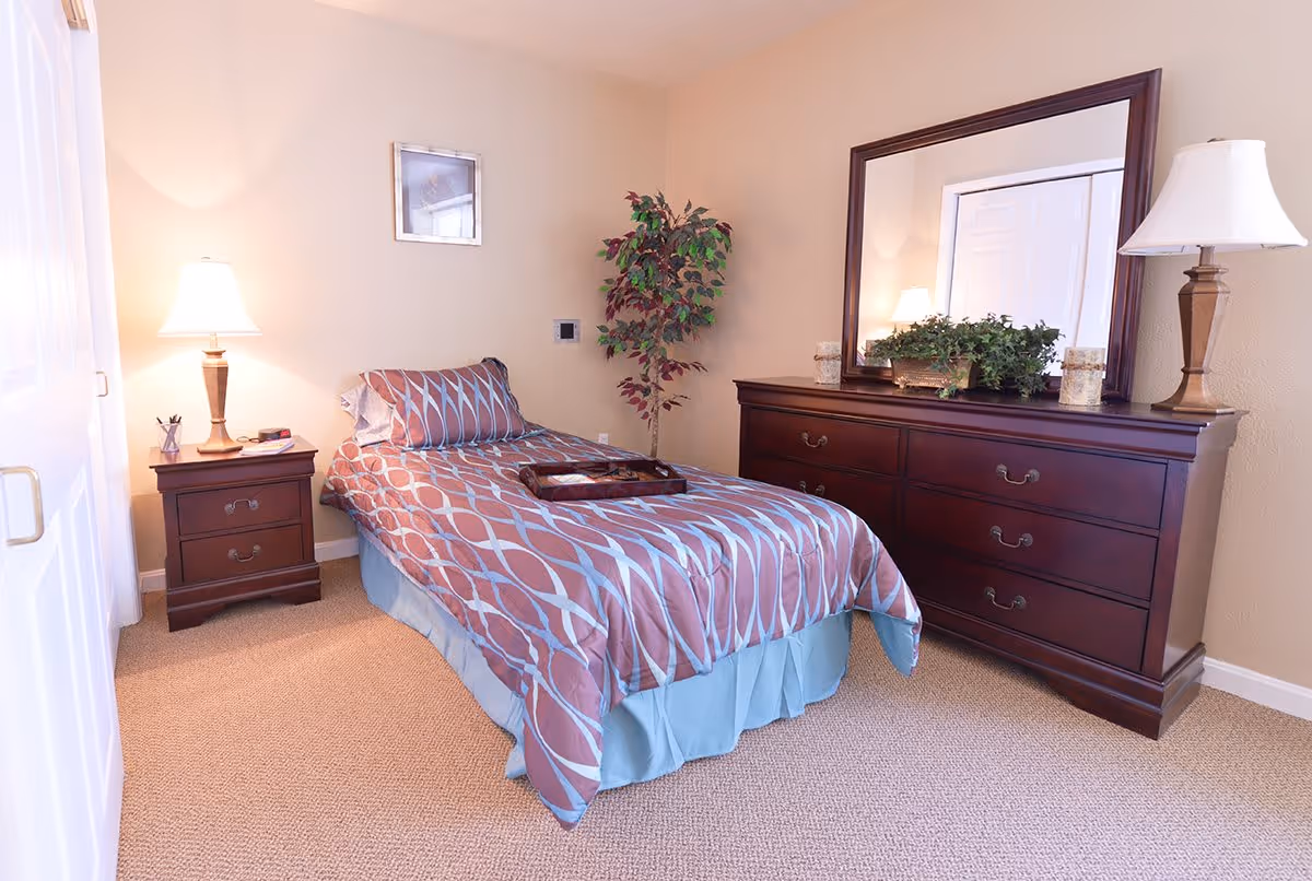 A neatly arranged bedroom with a single bed covered in a patterned bedspread and matching pillow. There is a wooden nightstand with a lamp and some small items on it to the left of the bed. On the right side of the room, there is a large wooden dresser with a mirror above it, decorated with a plant and two candle holders. A potted plant is placed in the corner of the room, and the floor is carpeted.