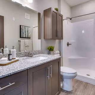 Modern bathroom with a granite countertop vanity featuring a sink, soap dispensers, and a small plant. Above the vanity is a large mirror. To the right is a white toilet and a shower with a curtain rod and a built-in shelf. The walls are light-colored and the floor has wood-like tiles.