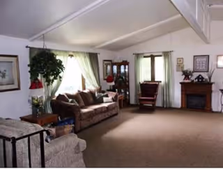 A spacious living room with beige carpet, a brown sofa, a gray armchair, a wooden side table with a lamp, a large potted plant, a wooden cabinet with glass doors, a fireplace with a mantel decorated with flowers and framed pictures, and windows with light green curtains allowing natural light to enter.