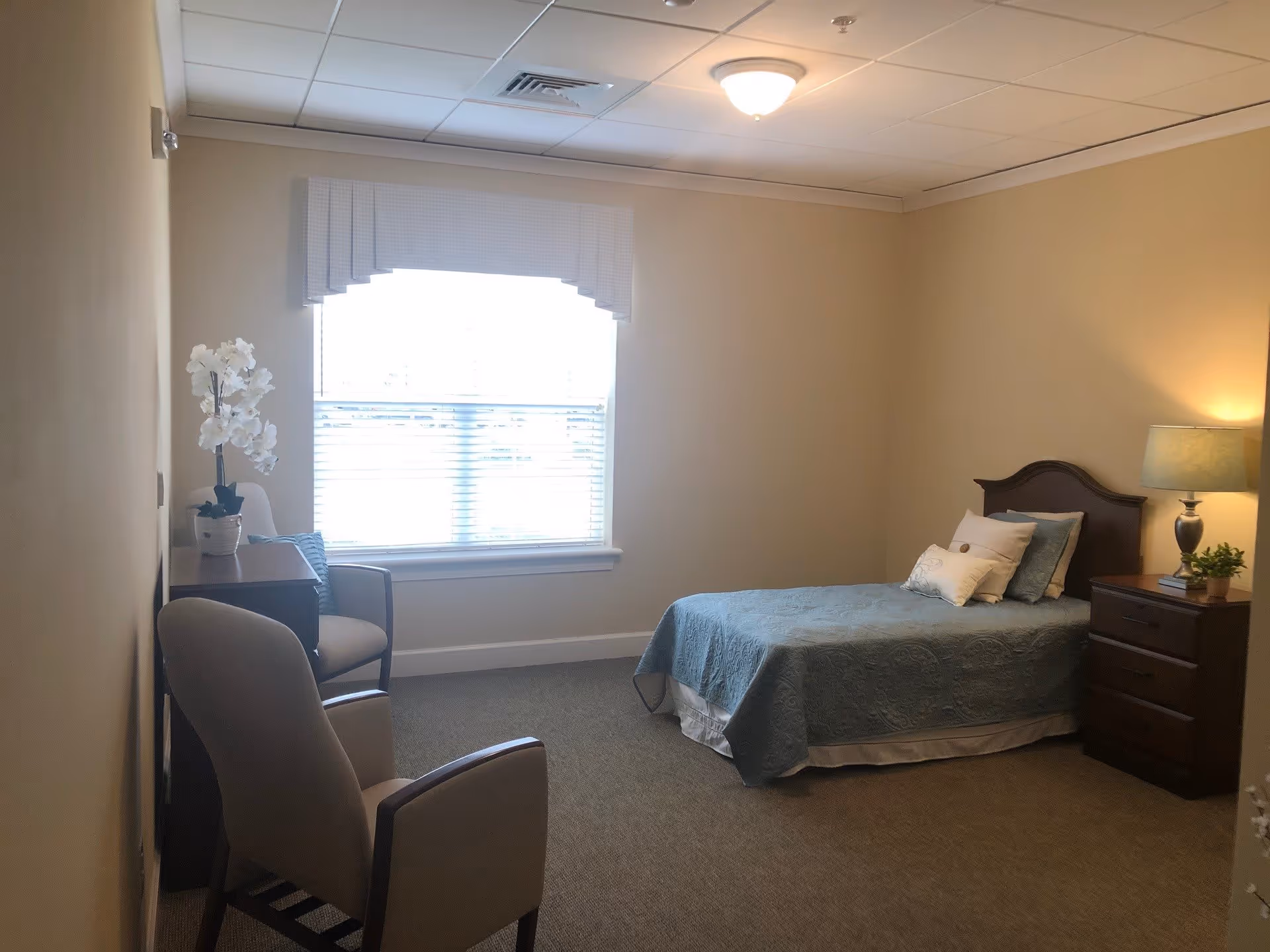 A cozy bedroom with a single bed covered in a blue quilt and several pillows. Next to the bed is a wooden nightstand with a lamp and a small plant. There are two beige armchairs and a small table with a white orchid plant near a window with blinds and a valance. The walls are painted light beige and the room is carpeted.