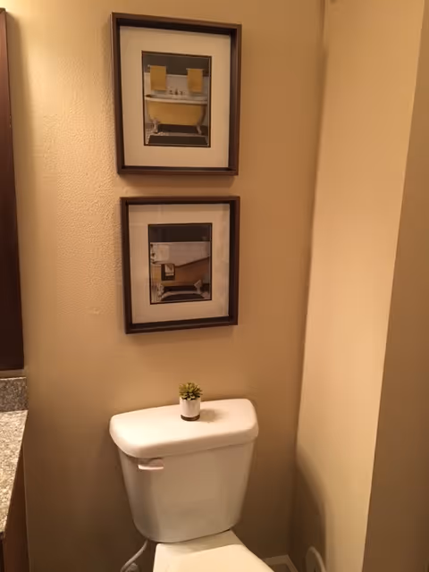 A small bathroom corner featuring a white toilet with a small potted plant on the tank lid. Above the toilet, there are two framed pictures hanging on a beige wall. Part of a granite countertop is visible on the left side.
