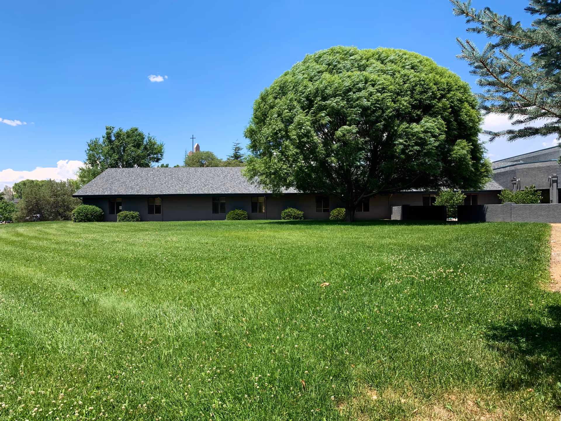 A large green lawn with a big leafy tree in front of a single-story building under a clear blue sky.