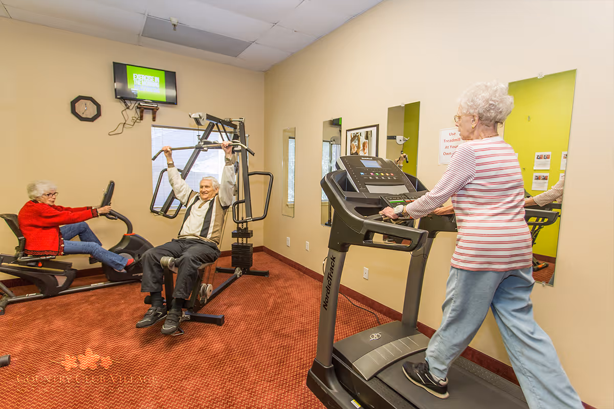 Three elderly individuals exercising in a small fitness room. One woman is using a recumbent bike, a man is using a weight machine, and another woman is walking on a treadmill. The room has beige walls, red carpet, mirrors on the wall, and a small TV mounted above a window.
