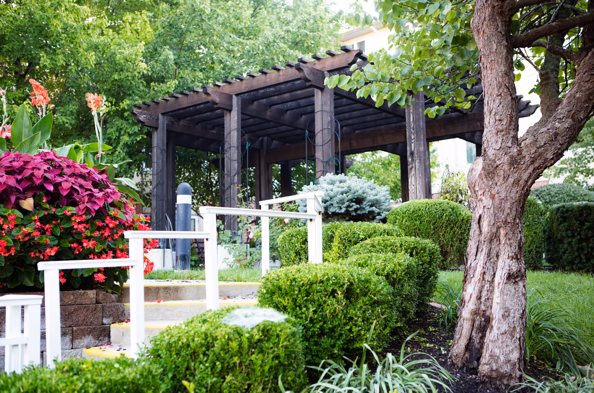 A well-maintained garden area with neatly trimmed bushes, colorful flowers, and a large tree. There is a wooden pergola structure in the background and white railings along a small set of steps leading up to the pergola.