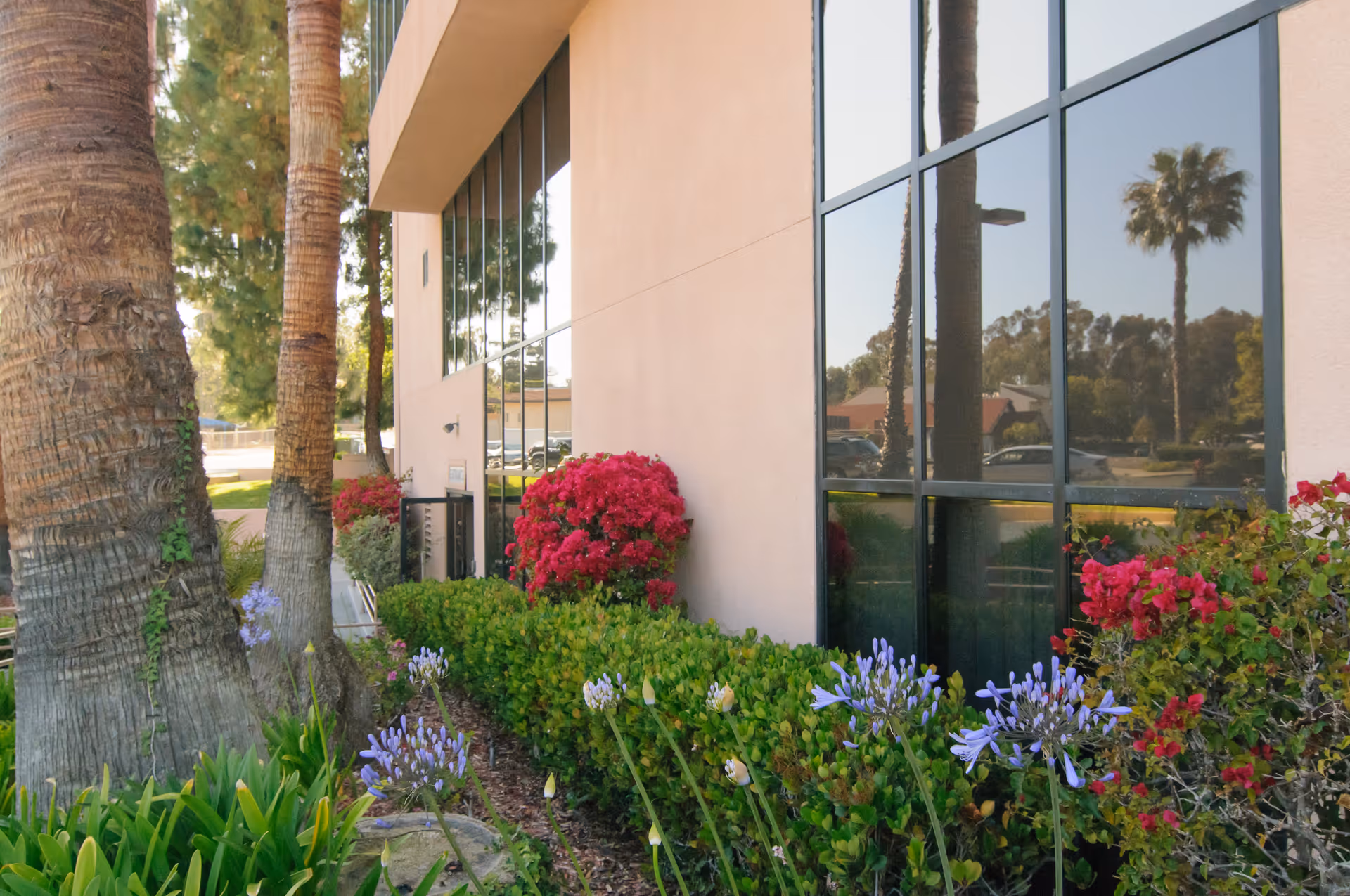 Exterior view of a light-colored building with large reflective windows, palm trees, and flowering shrubs along the landscaped grounds.