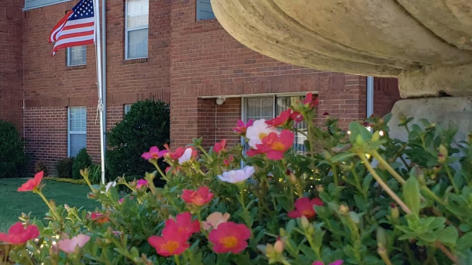 Close-up view of colorful pink and white flowers in front of a brick building with windows and an American flag on a flagpole.