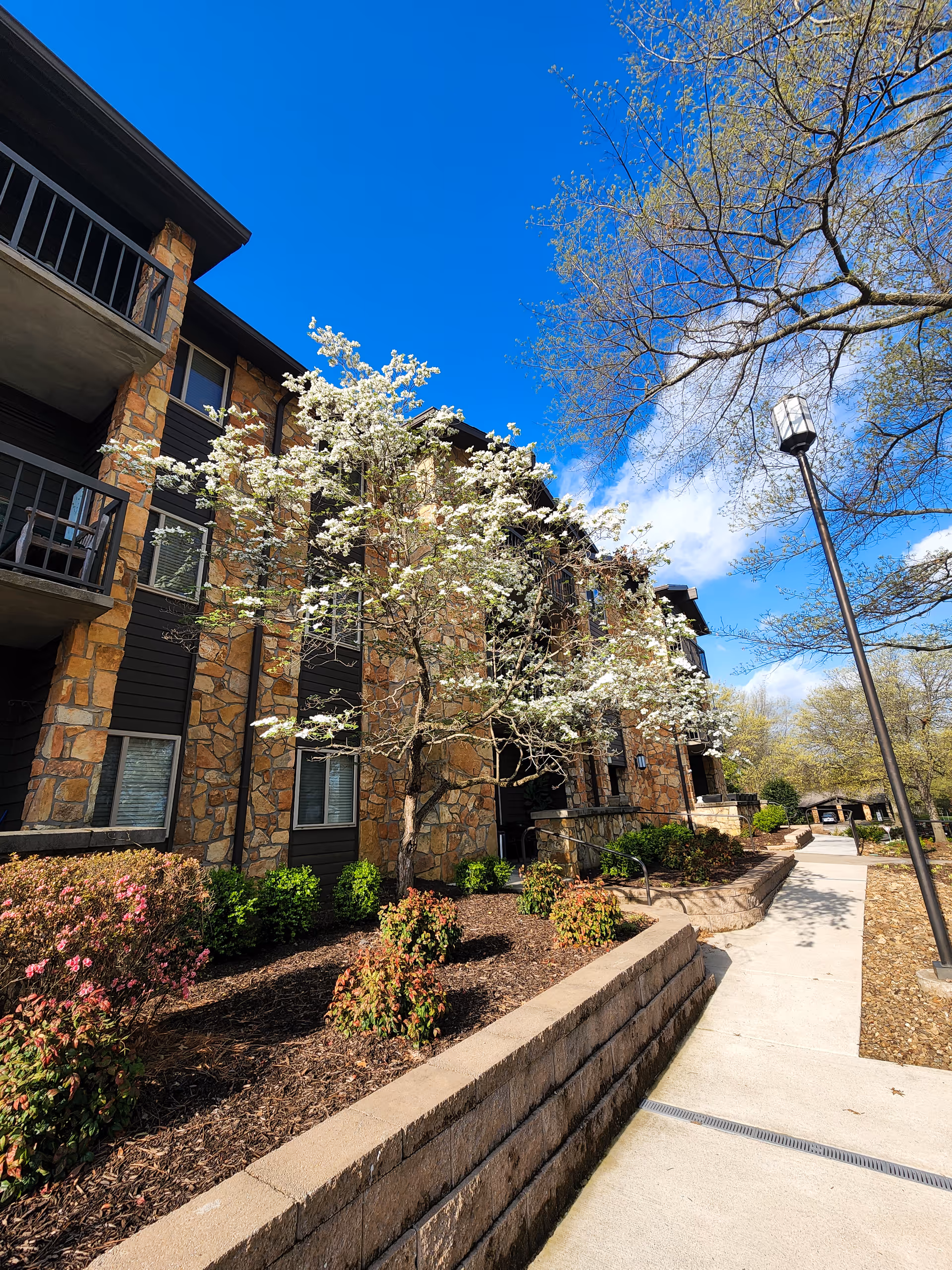 Exterior view of a multi-story building with stone and dark panel siding, surrounded by landscaped bushes and a blooming tree with white flowers under a clear blue sky. A sidewalk and a streetlamp are visible on the right side.