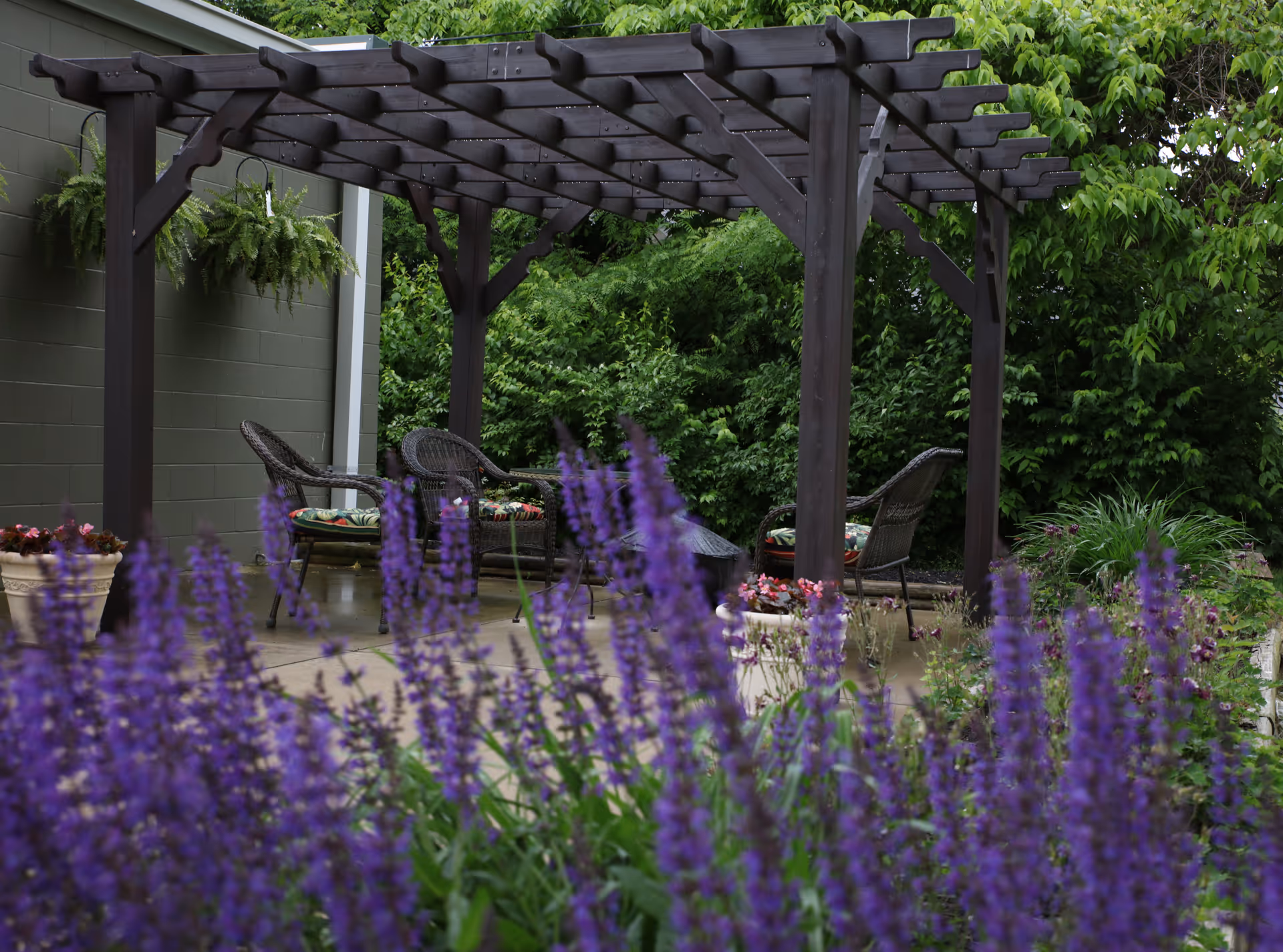A pergola-covered patio with wicker chairs surrounded by lush greenery and purple flowers in the foreground.