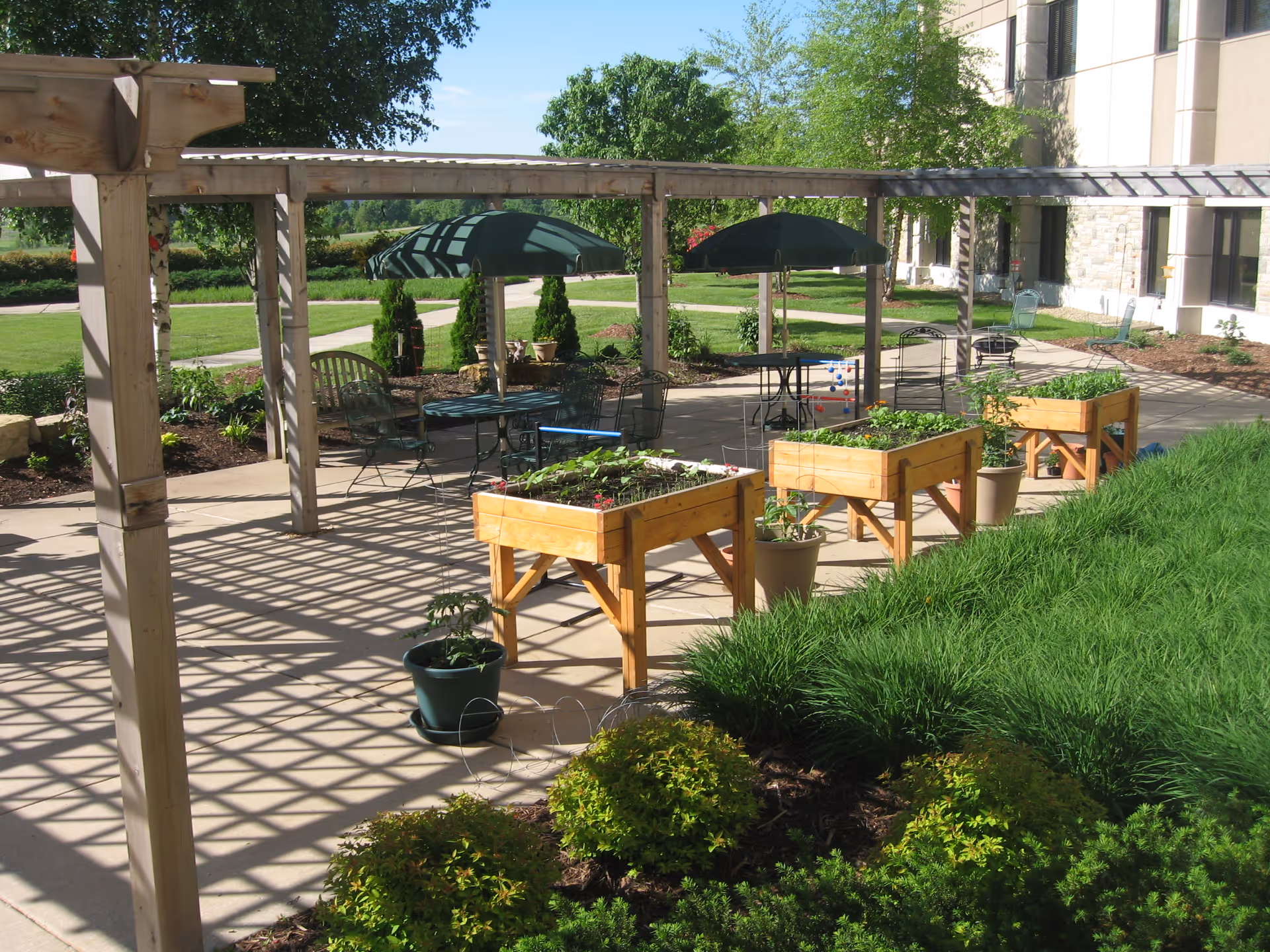 Outdoor patio area with wooden pergola casting shadows on the concrete floor, several raised garden beds with plants, potted plants, green umbrellas shading tables and chairs, and a building facade in the background surrounded by green grass and shrubs.