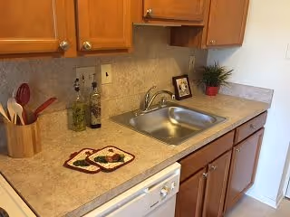 A kitchen countertop with a stainless steel sink, wooden cabinets above and below, a dishwasher, two decorative pot holders, a small framed picture, a potted plant, and containers holding utensils and oil bottles.