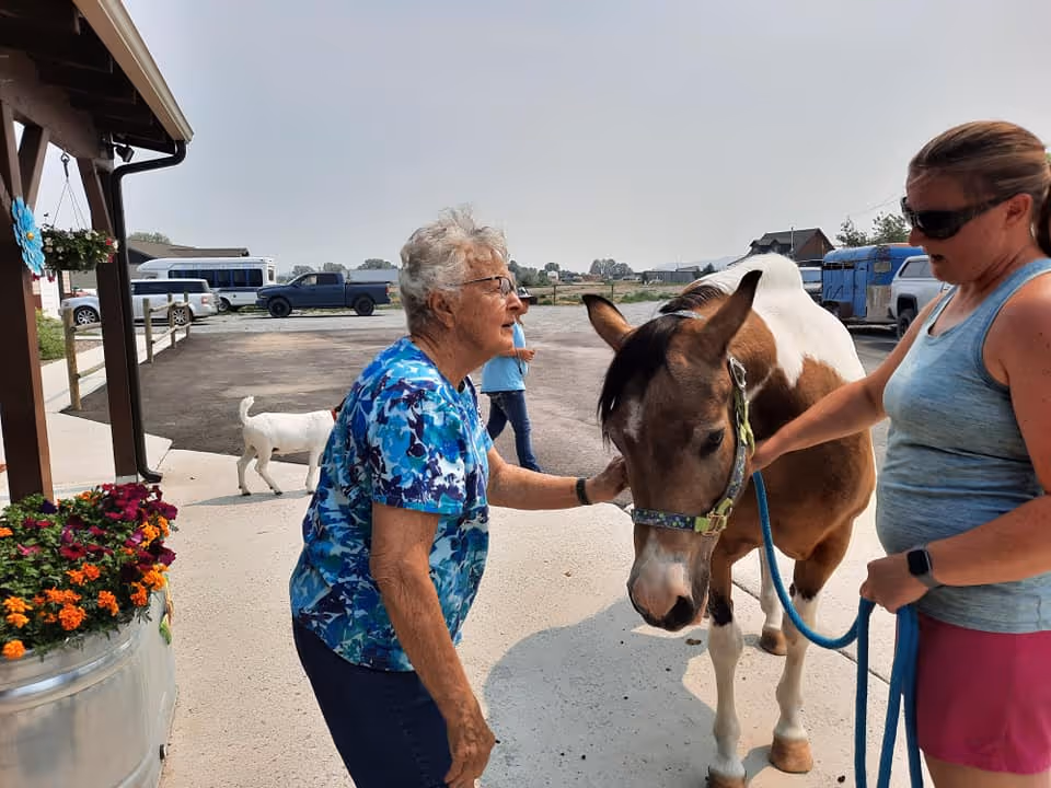 An elderly woman wearing a blue floral shirt is petting a brown and white horse held by a woman in a gray tank top and pink shorts. They are outside on a paved area near a building with flower pots. A white dog and a child are visible in the background along with parked vehicles.