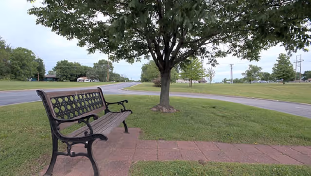 A wooden bench with black metal armrests and backrest sits on a paved area next to a large tree in a grassy outdoor space. A road curves around the grassy area with more trees and open green fields in the background under a partly cloudy sky.
