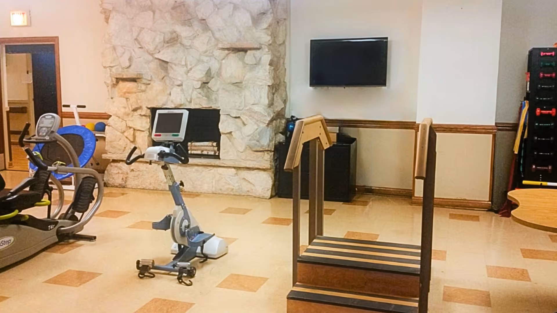 Indoor exercise room with a recumbent bike, an upright stationary bike, a wooden step platform with handrails, a stone fireplace, a wall-mounted TV, and a rack of exercise equipment in the corner.