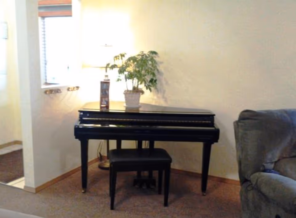 A black piano and bench sit against a wall beside a lamp, potted plant, and a gray couch in a living room.