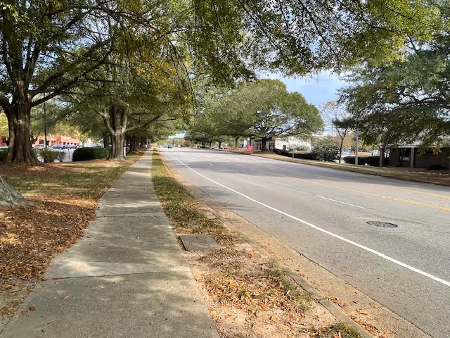 Sidewalk bordered by large trees running beside a wide, lightly trafficked road with buildings in the distance.