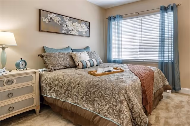 Well-decorated bedroom with a made bed featuring patterned bedding, a bedside table with lamp and clock, and a window with blue curtains.