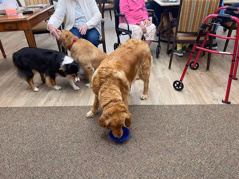 Three dogs interacting in a senior living facility common area with two elderly women seated nearby, one petting a dog and the other in a wheelchair. A red walker is visible to the right.