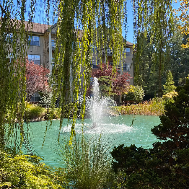 A serene outdoor scene featuring a pond with a central water fountain surrounded by lush greenery and trees. In the background, a multi-story residential building is partially visible behind hanging willow branches and colorful foliage under a clear blue sky.