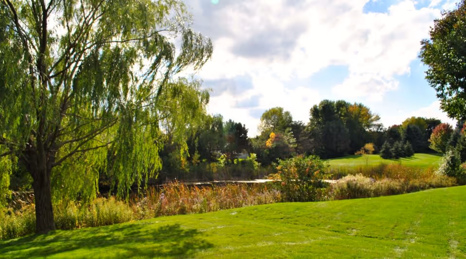 Green lawn and a willow tree beside a small pond with trees under a partly cloudy sky.