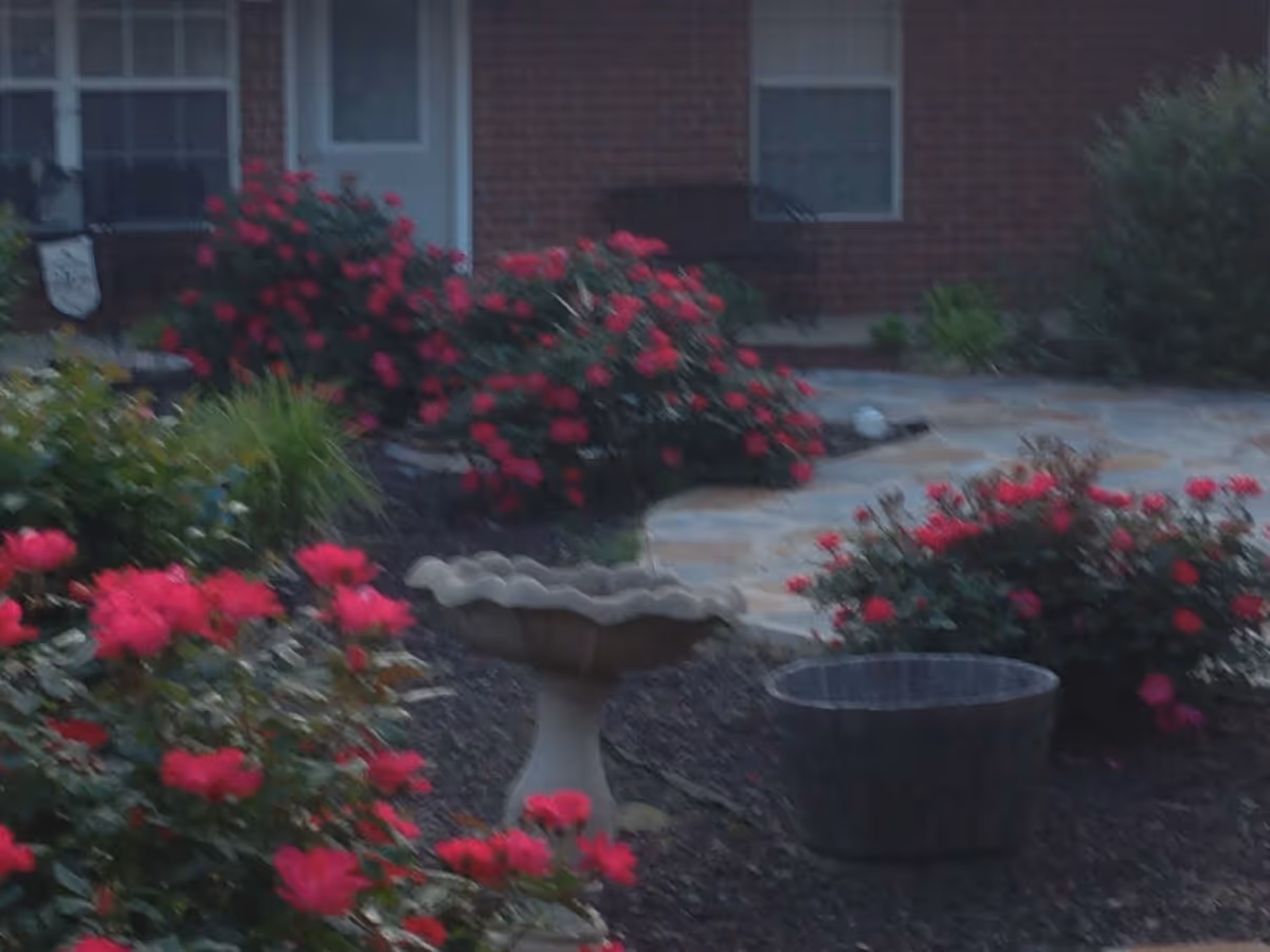 Garden courtyard with red flowering bushes, a stone birdbath and a planter in front of a brick building with windows and a door.