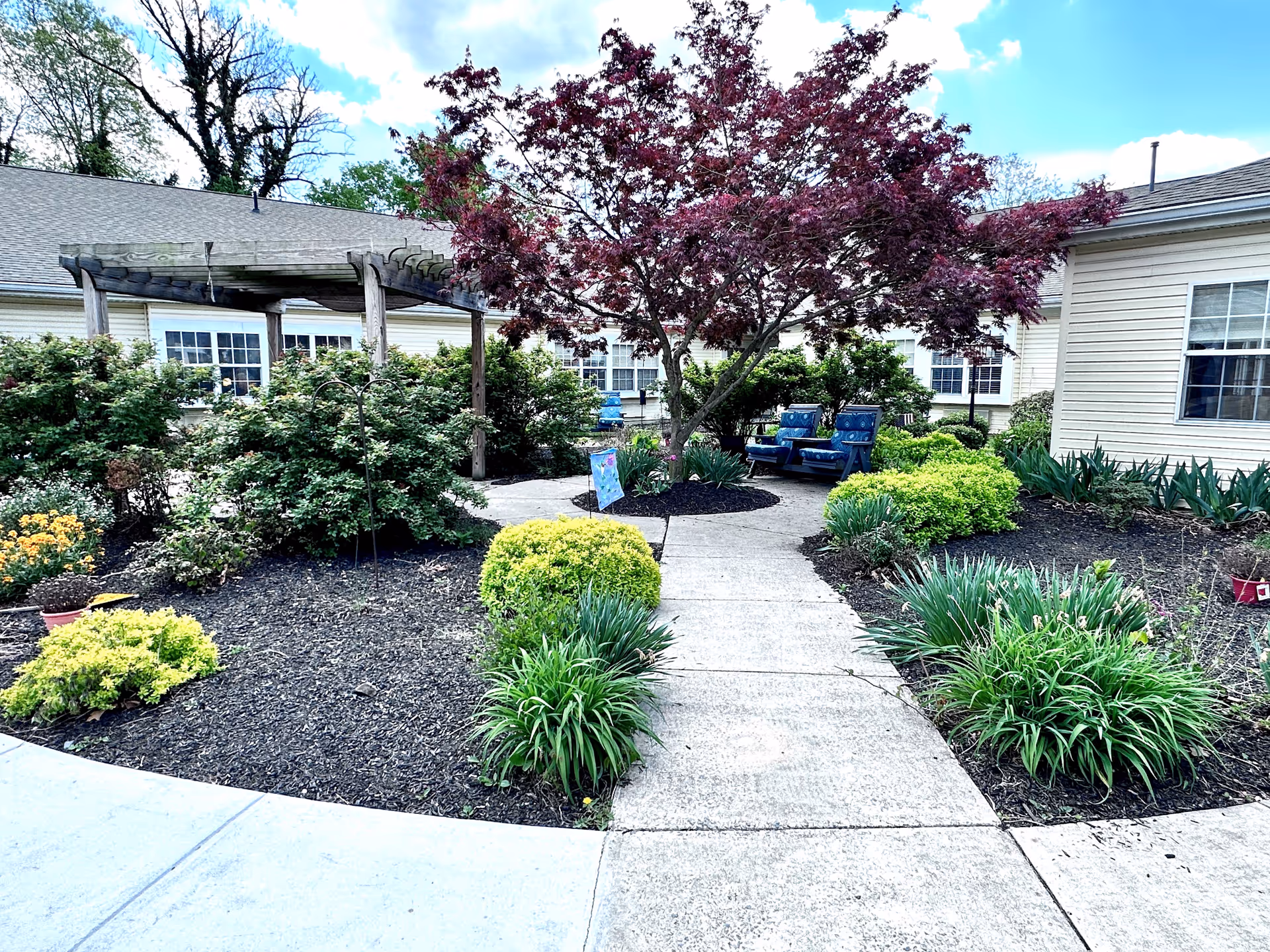Landscaped courtyard with a paved walkway, shrubs, a red-leafed tree and outdoor seating between building wings.