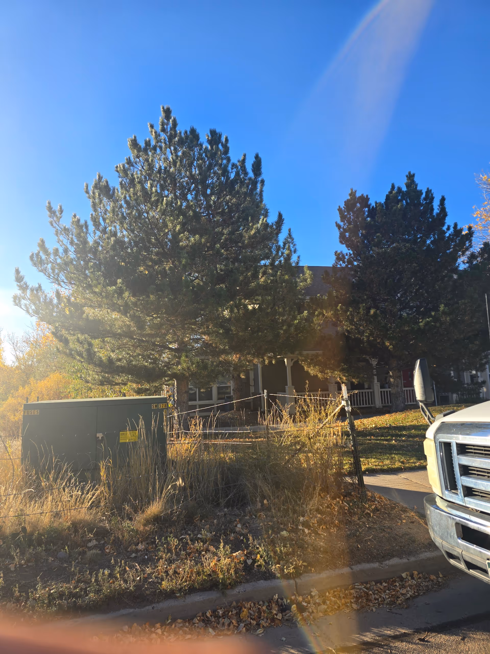 Front exterior of a building partly obscured by large pine trees, a utility box, and a parked truck under a clear blue sky.