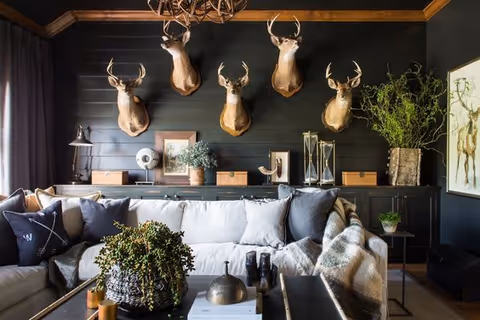 A stylish living room with a light-colored sofa, coffee table, and five mounted deer heads displayed on a dark paneled wall.
