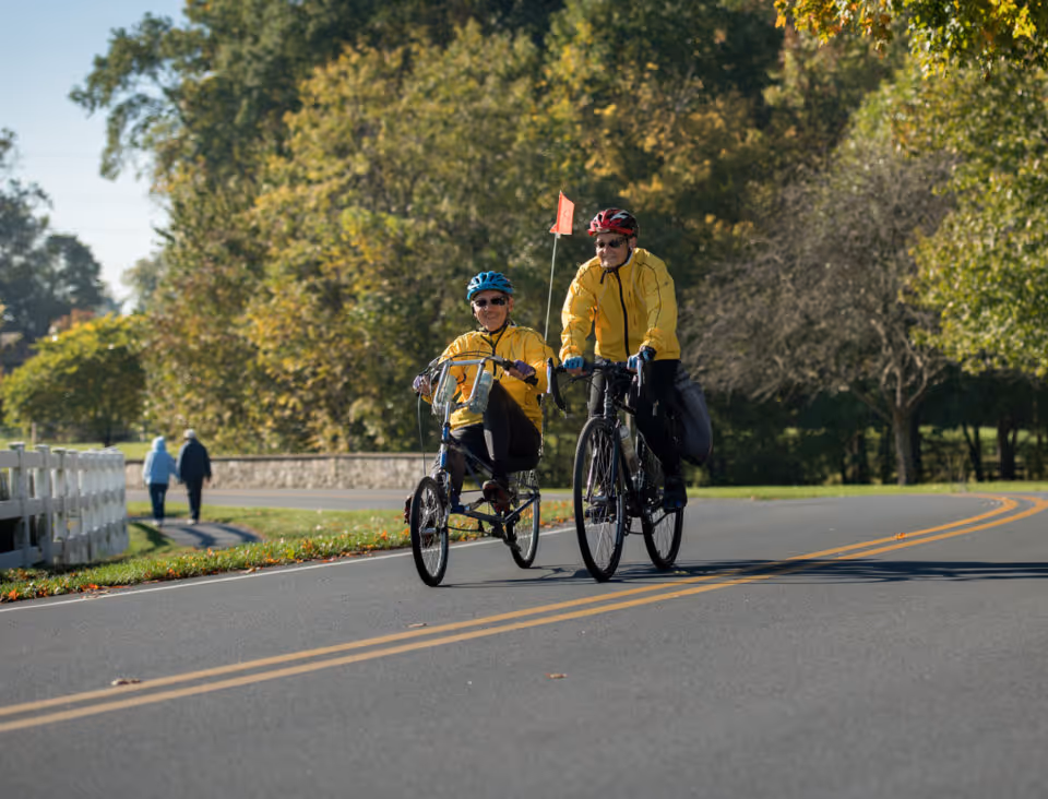 Two elderly people wearing yellow jackets and helmets riding bicycles on a paved road surrounded by trees and greenery on a sunny day. In the background, two other people are walking along a path beside a white fence.