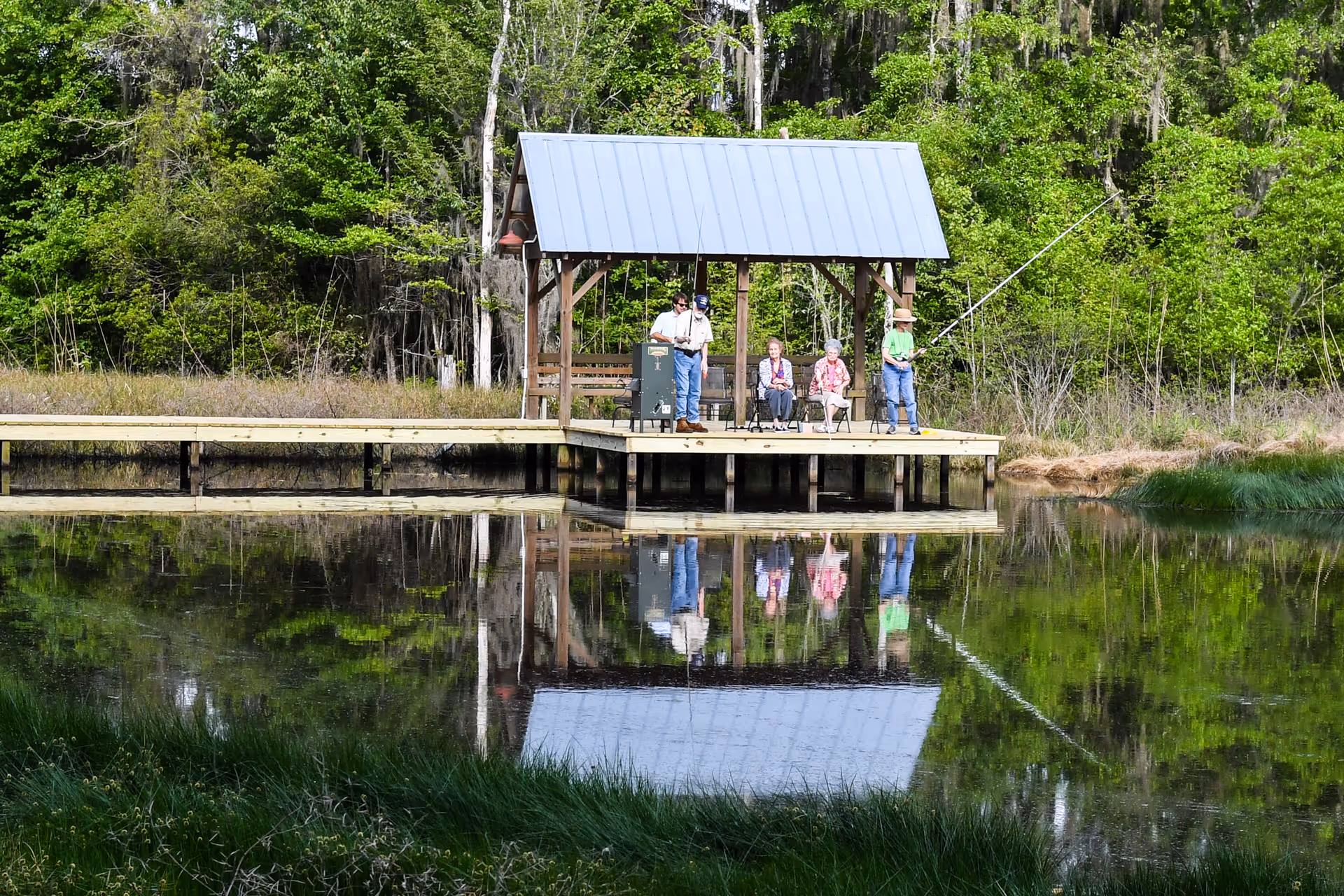 Four elderly people fishing on a wooden dock with a small covered shelter, surrounded by green trees and reflected in a calm pond.