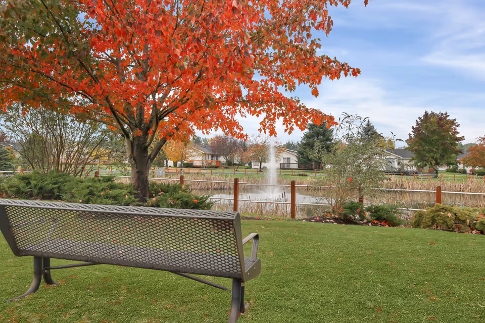 A peaceful outdoor scene featuring a metal bench on a grassy area facing a pond with a water fountain. A tree with vibrant red autumn leaves stands nearby, and houses and other trees are visible in the background under a partly cloudy sky.