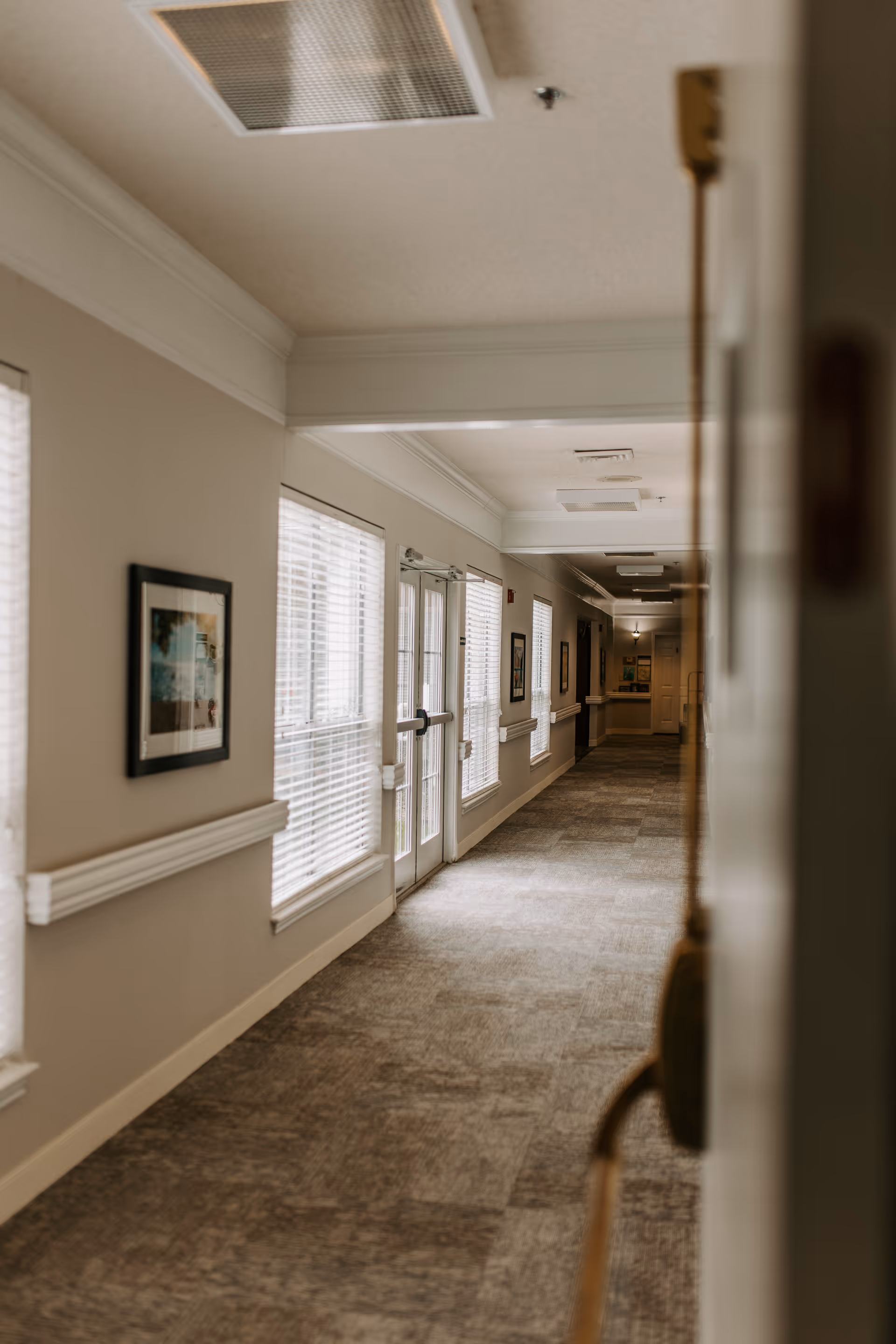 A long, carpeted hallway in a senior living facility with beige walls, white trim, and several windows with blinds on the left side. There are framed pictures on the walls and a set of double glass doors along the hallway. The ceiling has recessed lighting and ventilation panels.